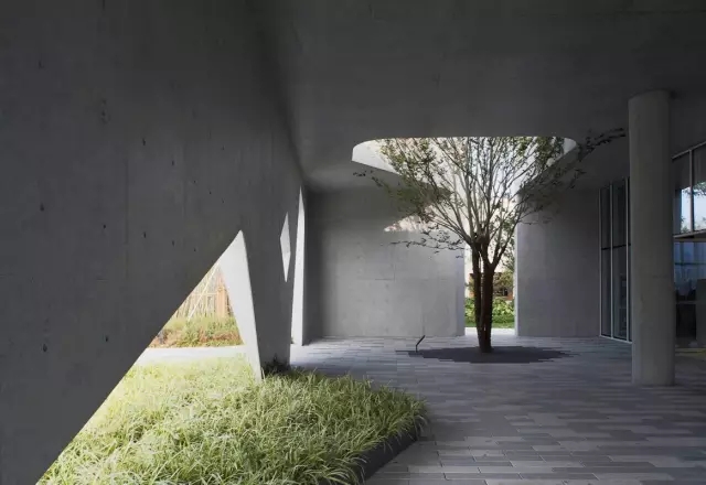 1530860281305906.jpg 20180706_144424_121.jpg