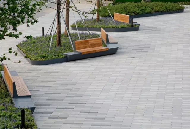 1530860364634813.jpg 640.webp (2).jpg