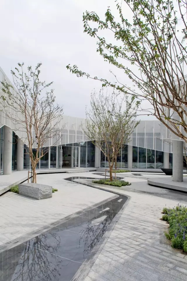 1530860682591889.jpg 20180706_144424_132.jpg