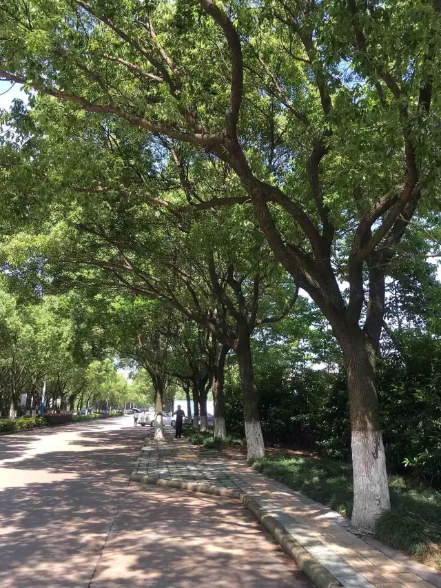 1530866348308054.jpg 20180706_161859_142.jpg