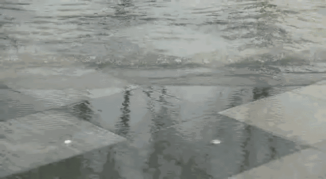 1531288229102284.jpg 20180711_133552_015.jpg