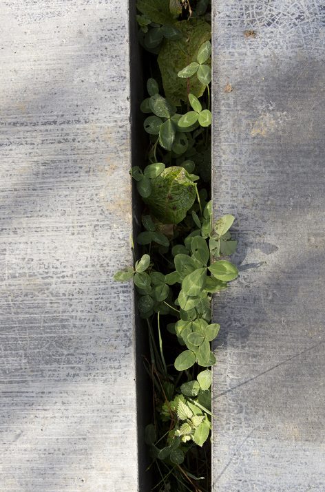 1531984778802071.jpg 20180719_145428_115.jpg