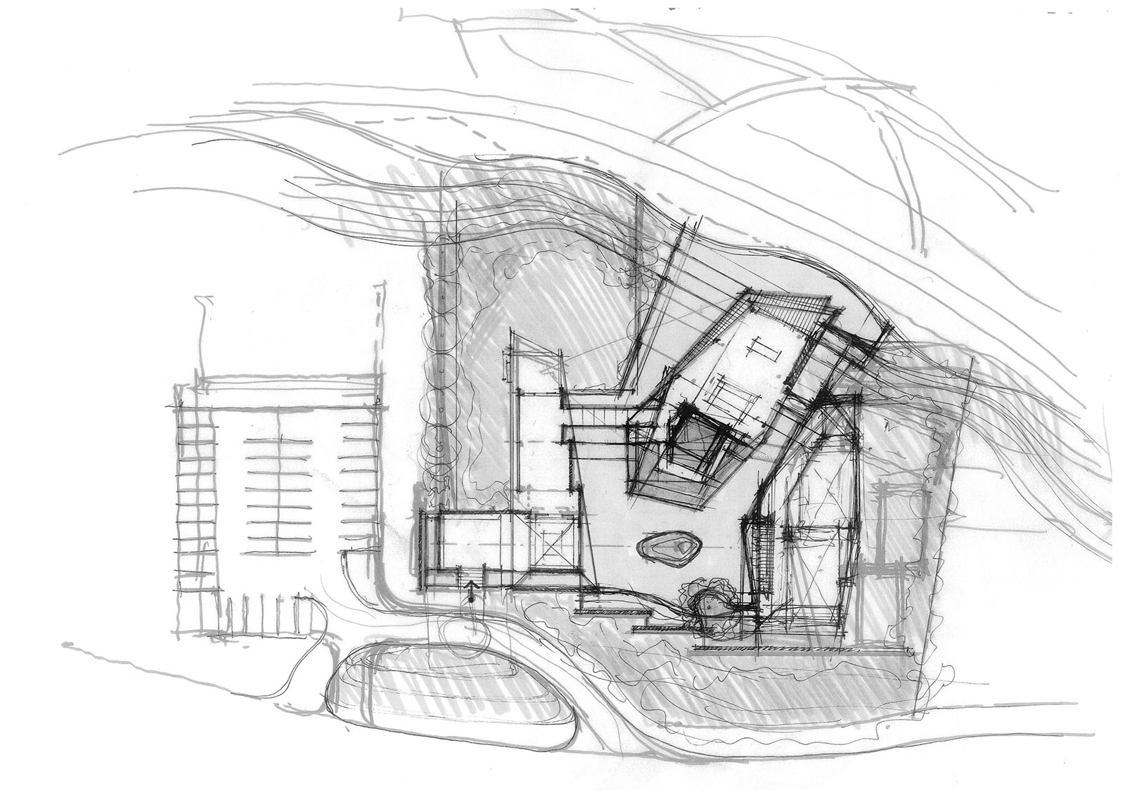 1532067699355830.jpg 20180720_135955_035.jpg