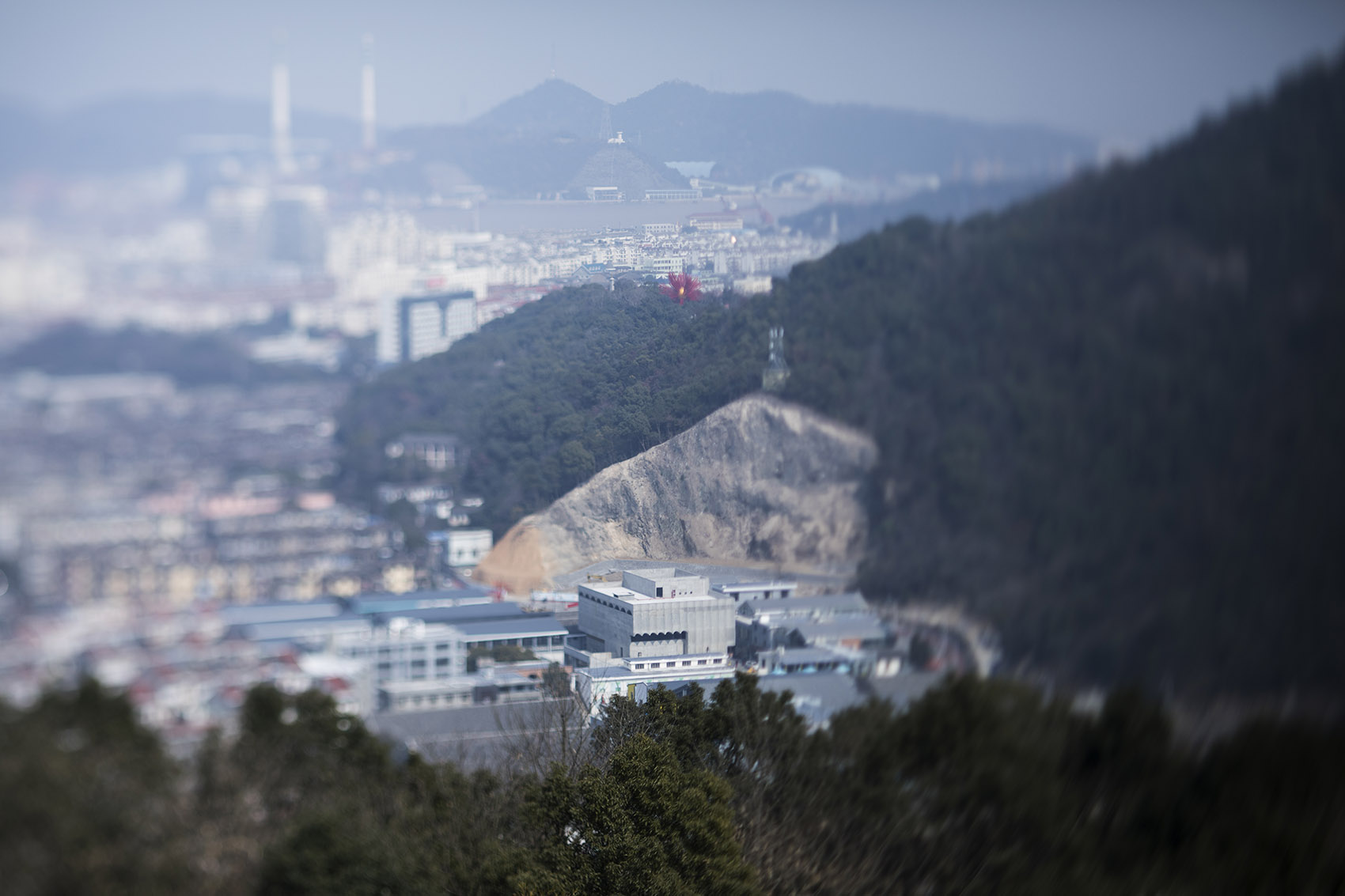 1532329964431883.jpg 2.jpg