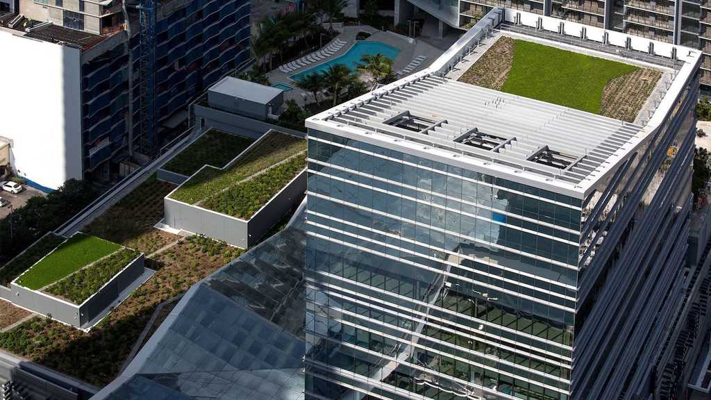 1533027218581209.jpg 20180731_164755_007.jpg