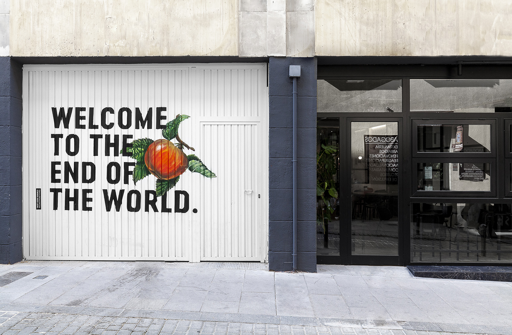 1533106957547631.jpg 3.jpg