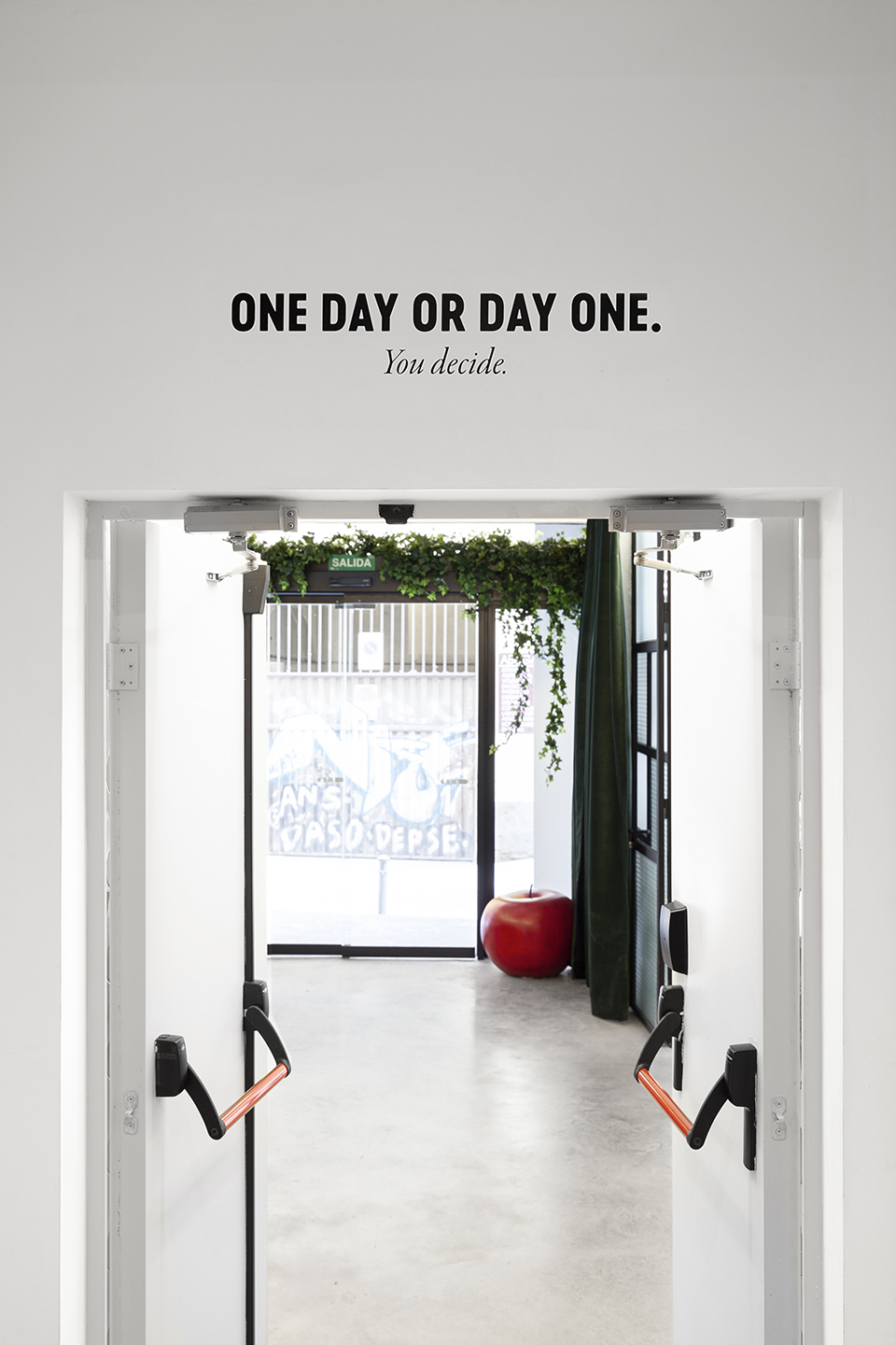 1533107806137763.jpg 5.jpg