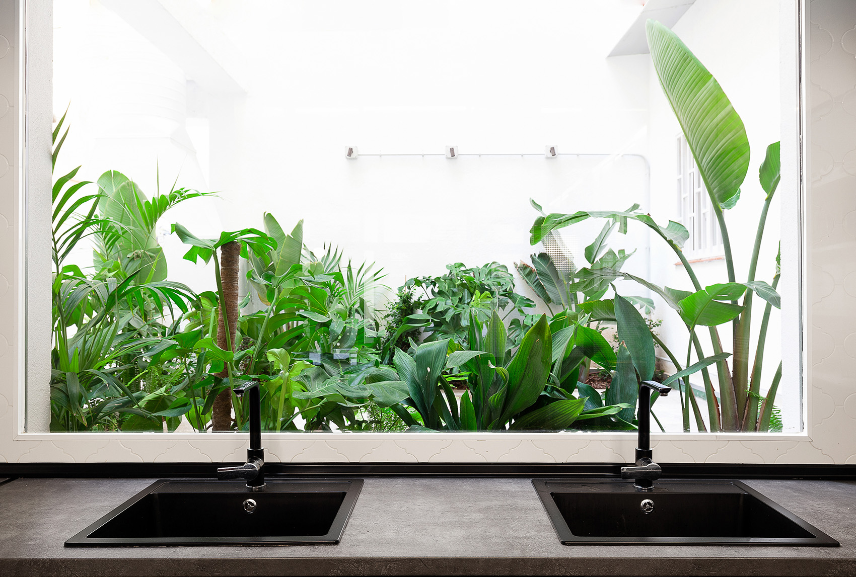 1533108058303363.jpg 18.jpg