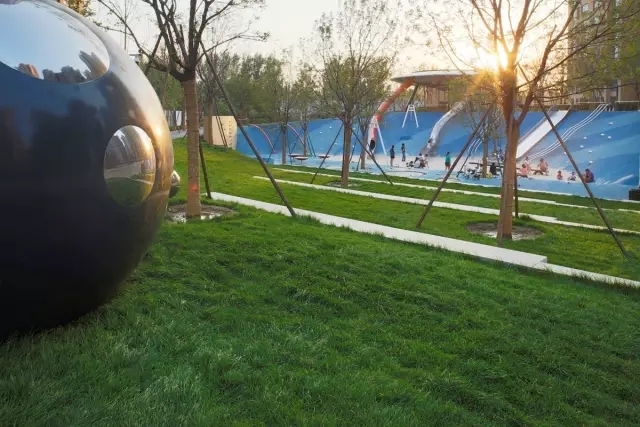 1533782029273257.jpg 20180809_103128_065.jpg