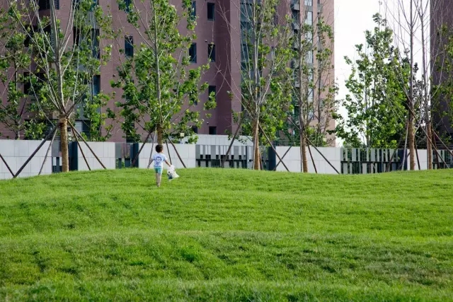 1533782187149792.jpg 20180809_103128_076.jpg