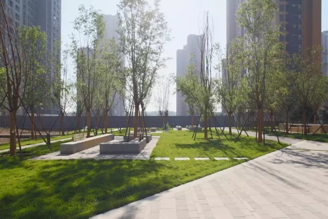 1533782220451950.jpg 20180809_103128_077.jpg