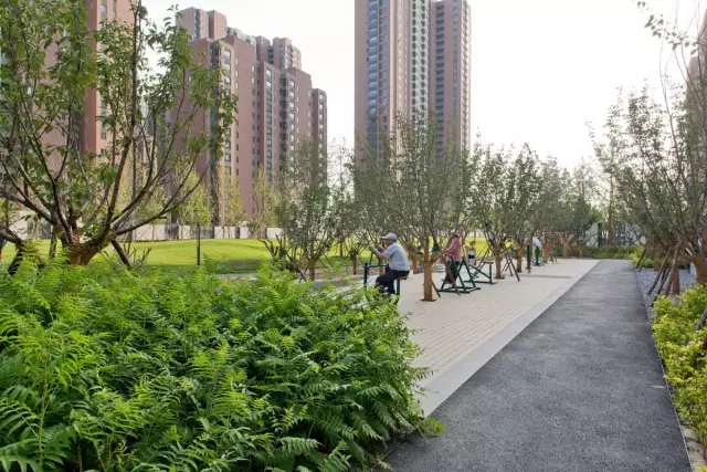 1533782317840399.jpg 640.webp (3).jpg