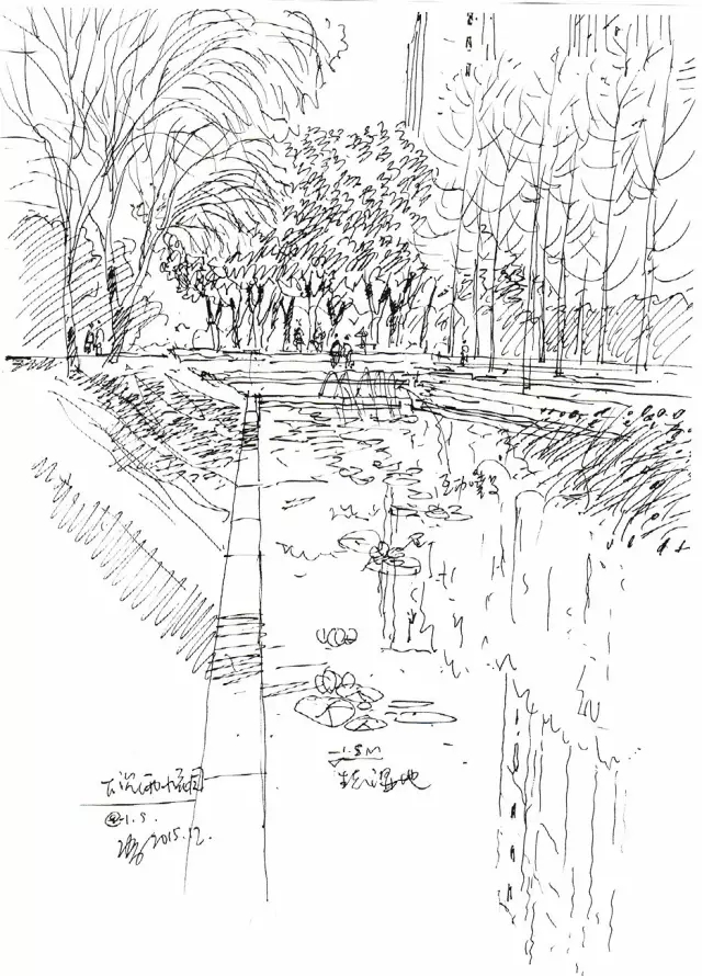 1533782375669638.jpg 20180809_103128_080.jpg