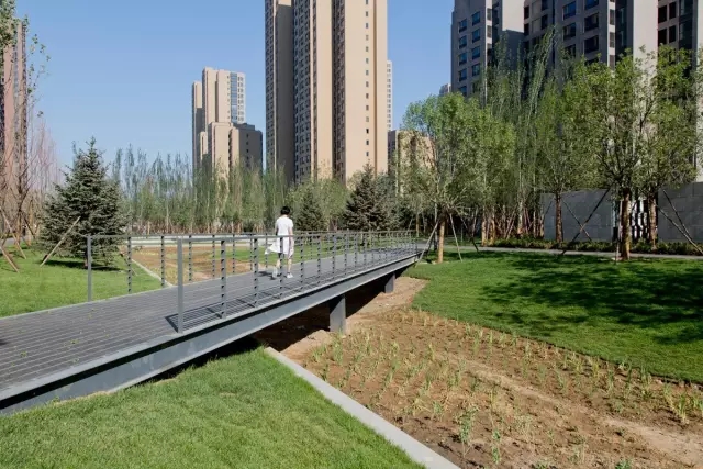 1533782389220916.jpg 20180809_103128_082.jpg