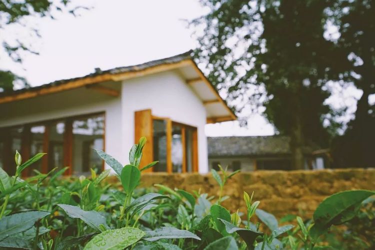 1533803877317622.jpg 20180809_155249_057.jpg