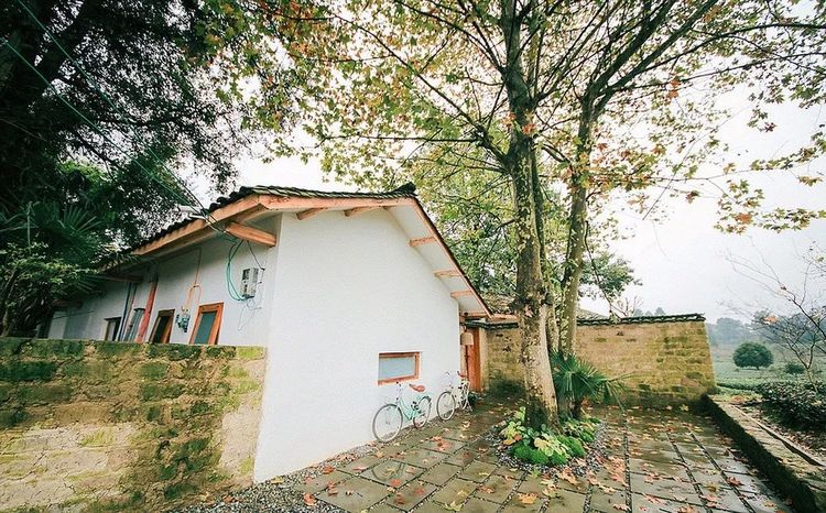 1533803917499229.jpg 20180809_155249_059.jpg