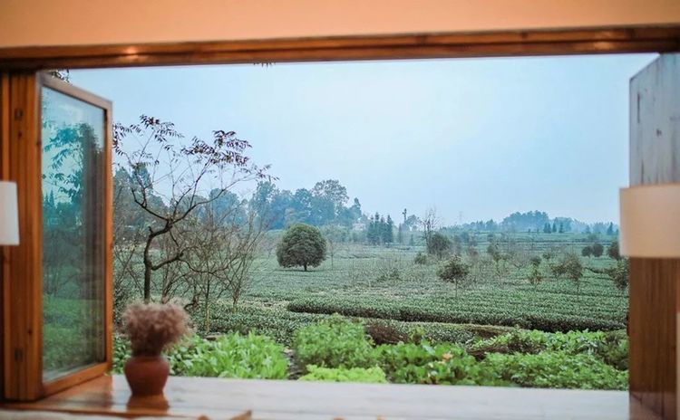 1533804034686359.jpg 20180809_155249_071.jpg