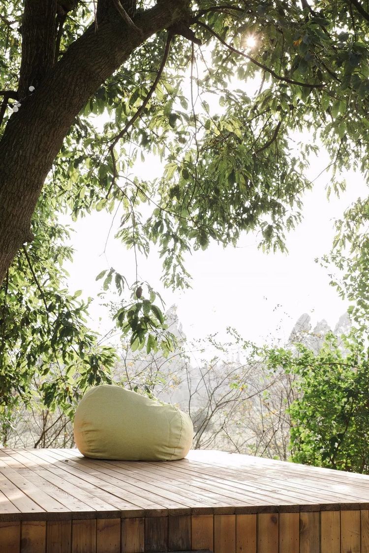 1533804197385350.jpg 20180809_155249_089.jpg