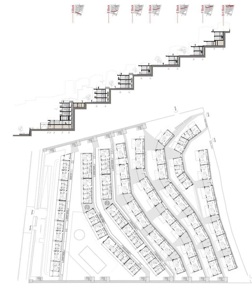 1534319852845613.jpg 20180815_154634_056.jpg