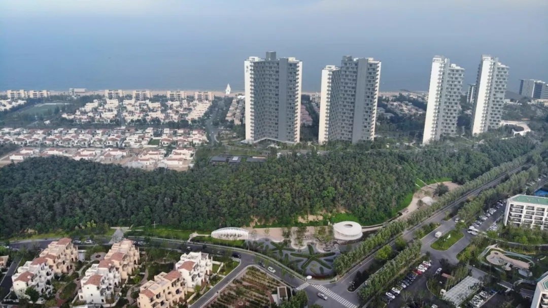 1534473256836563.jpg 20180817_101325_049.jpg