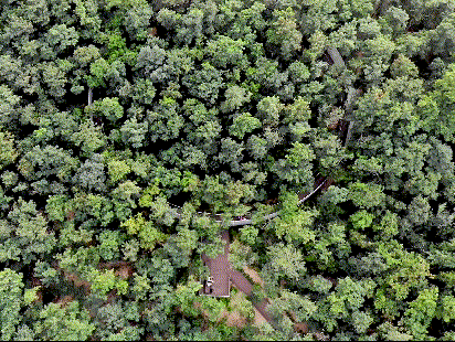 1534473276508908.jpg 20180817_101325_050.jpg