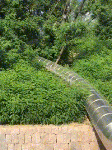 1534473786289765.gif 640.gif