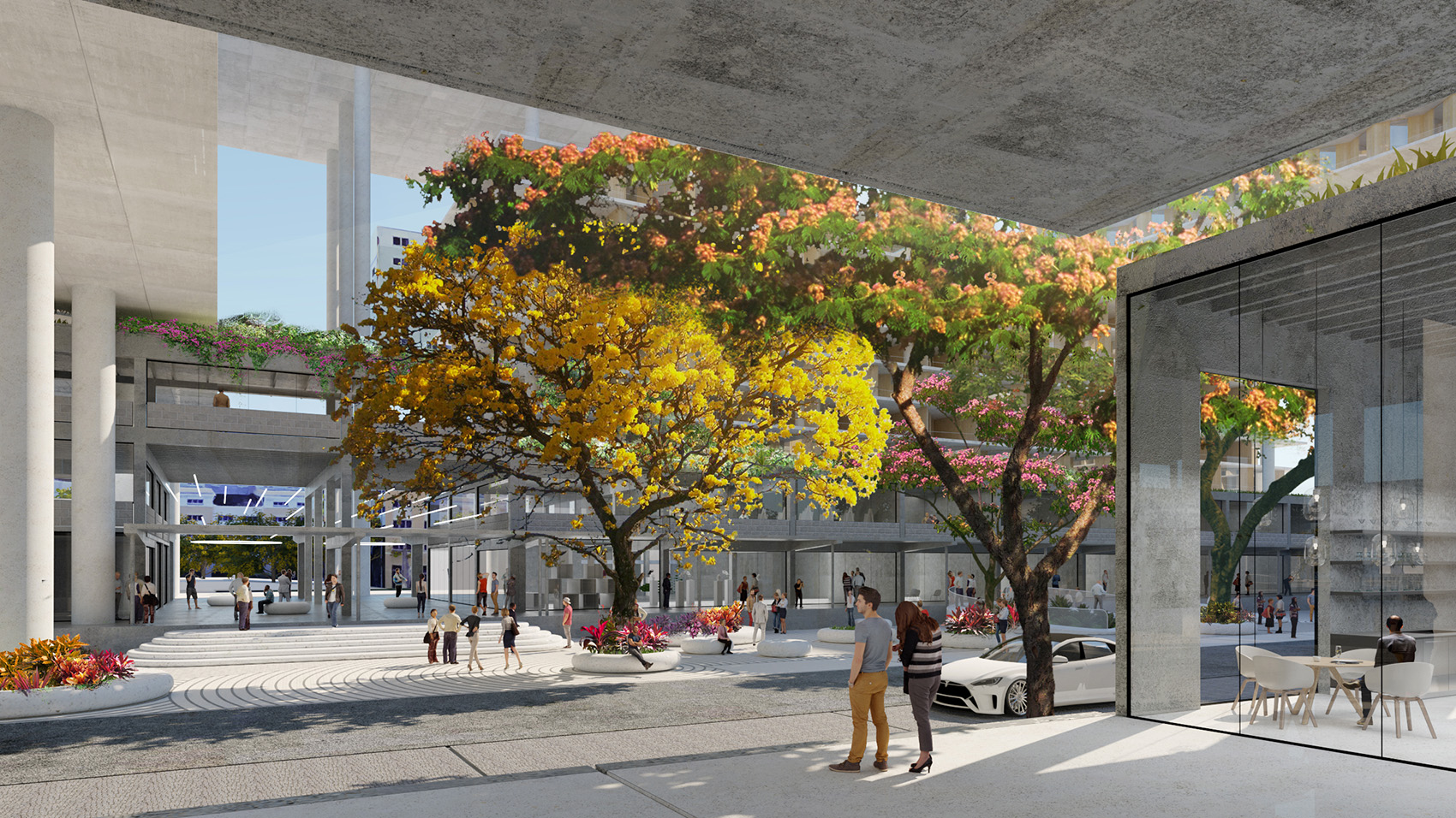 1534745824325707.jpg 15.jpg