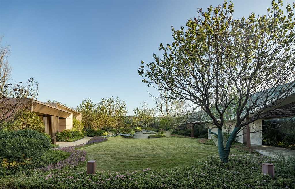 1534837619627414.jpg 20180821_150537_081.jpg