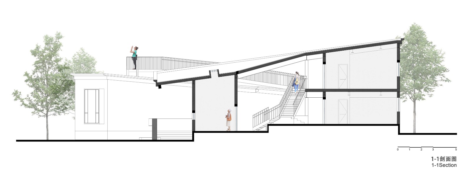 1535007011587887.jpg 20180823_142743_042.jpg