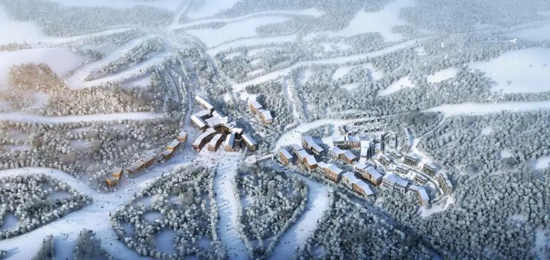 1535623262102333.jpg 640.webp.jpg