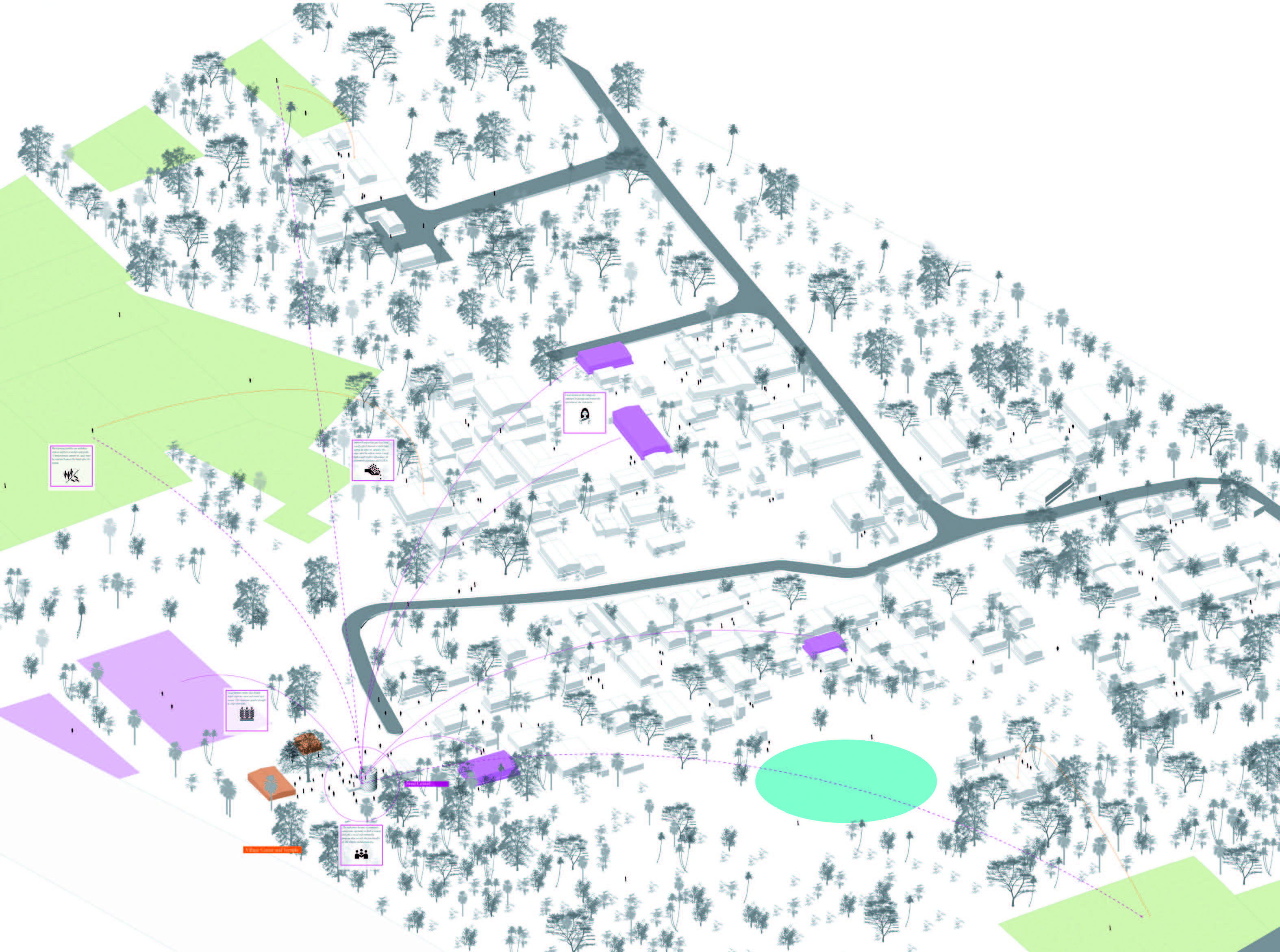 1536566433413932.jpg LAF34雙P 種子中心.jpg