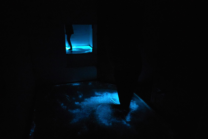 1536744528668629.jpg 3.jpg