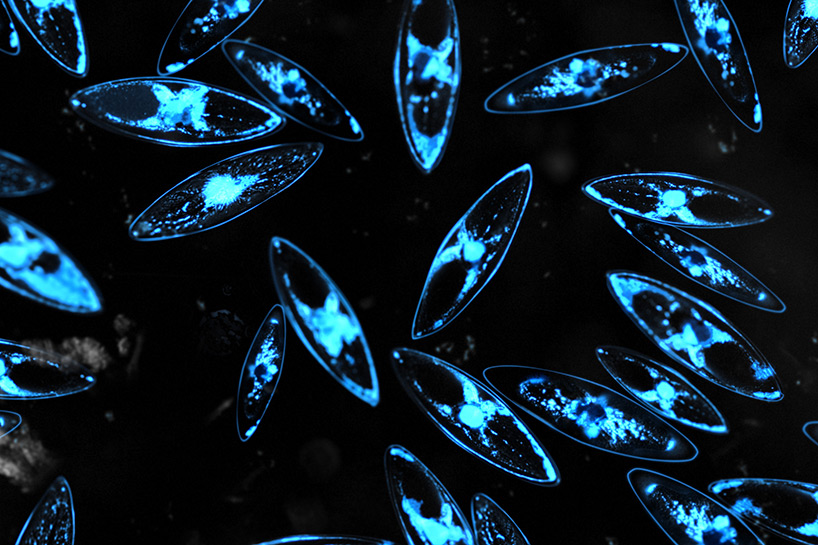 1536744636508046.jpg 5.jpg