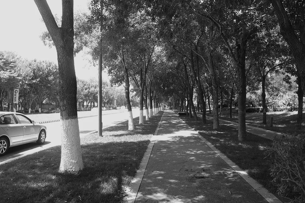 1536909301290099.jpg 20180914_144712_016.jpg