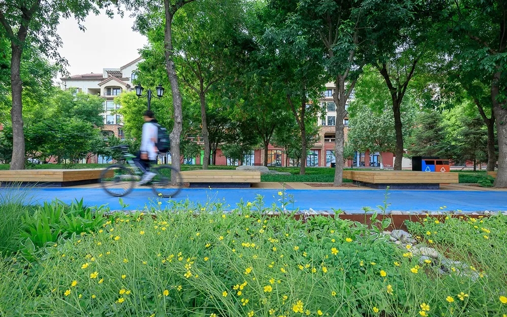 1536909324187795.jpg 20180914_144712_017.jpg