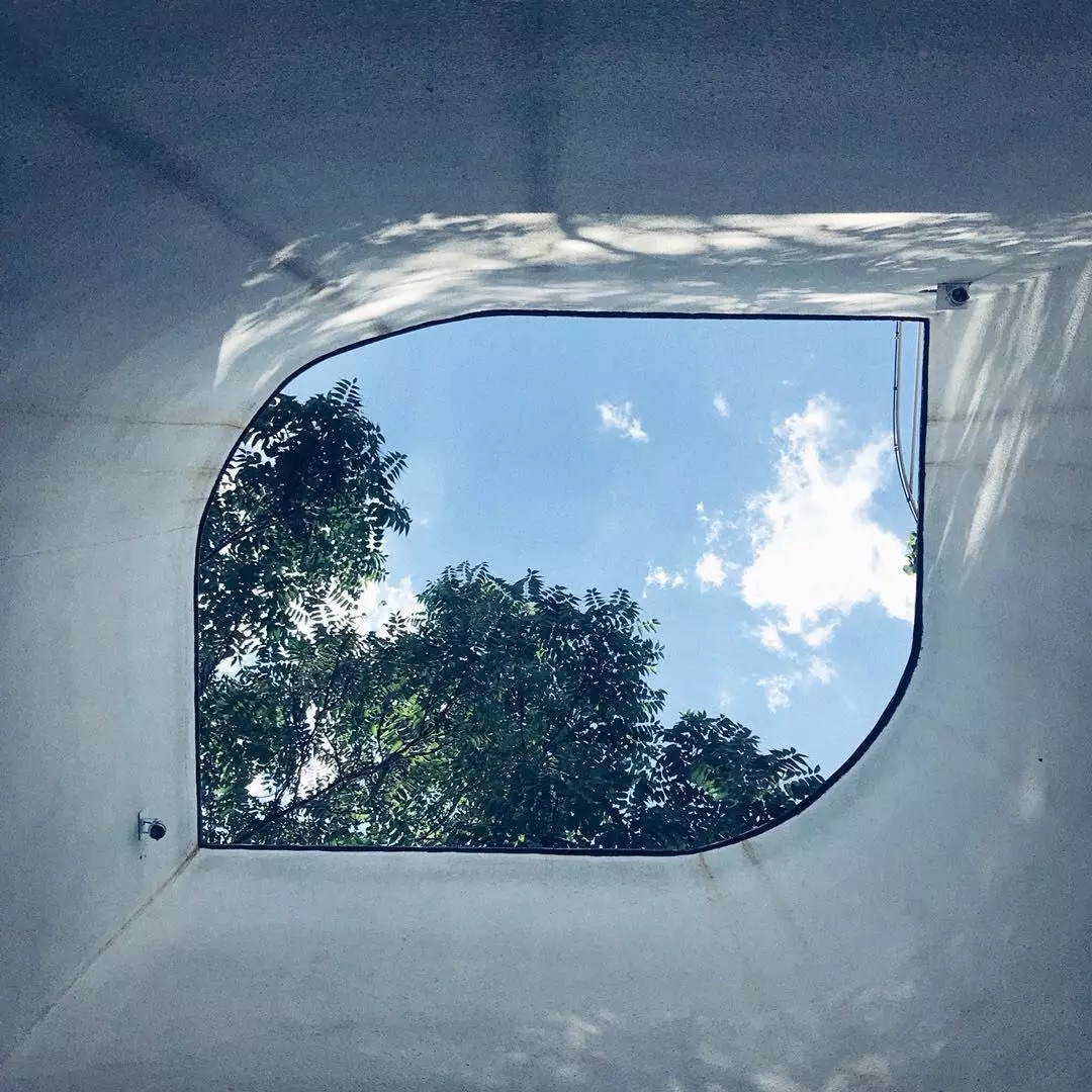 1537509164826227.jpg 20180921_111059_000.jpg