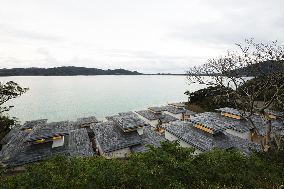 1538100139382575.jpg 2.jpg