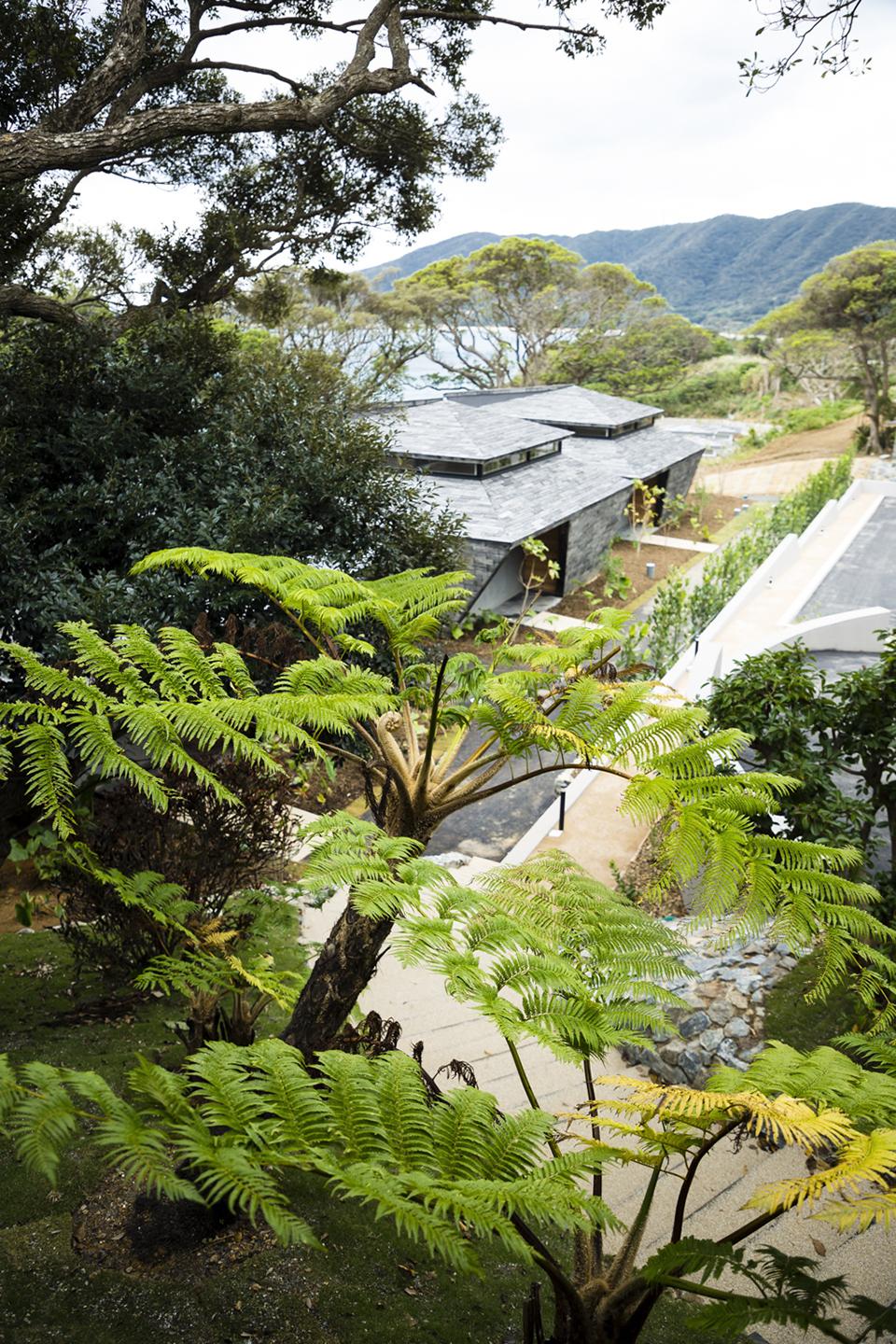 1538100836195519.jpg 37.jpg