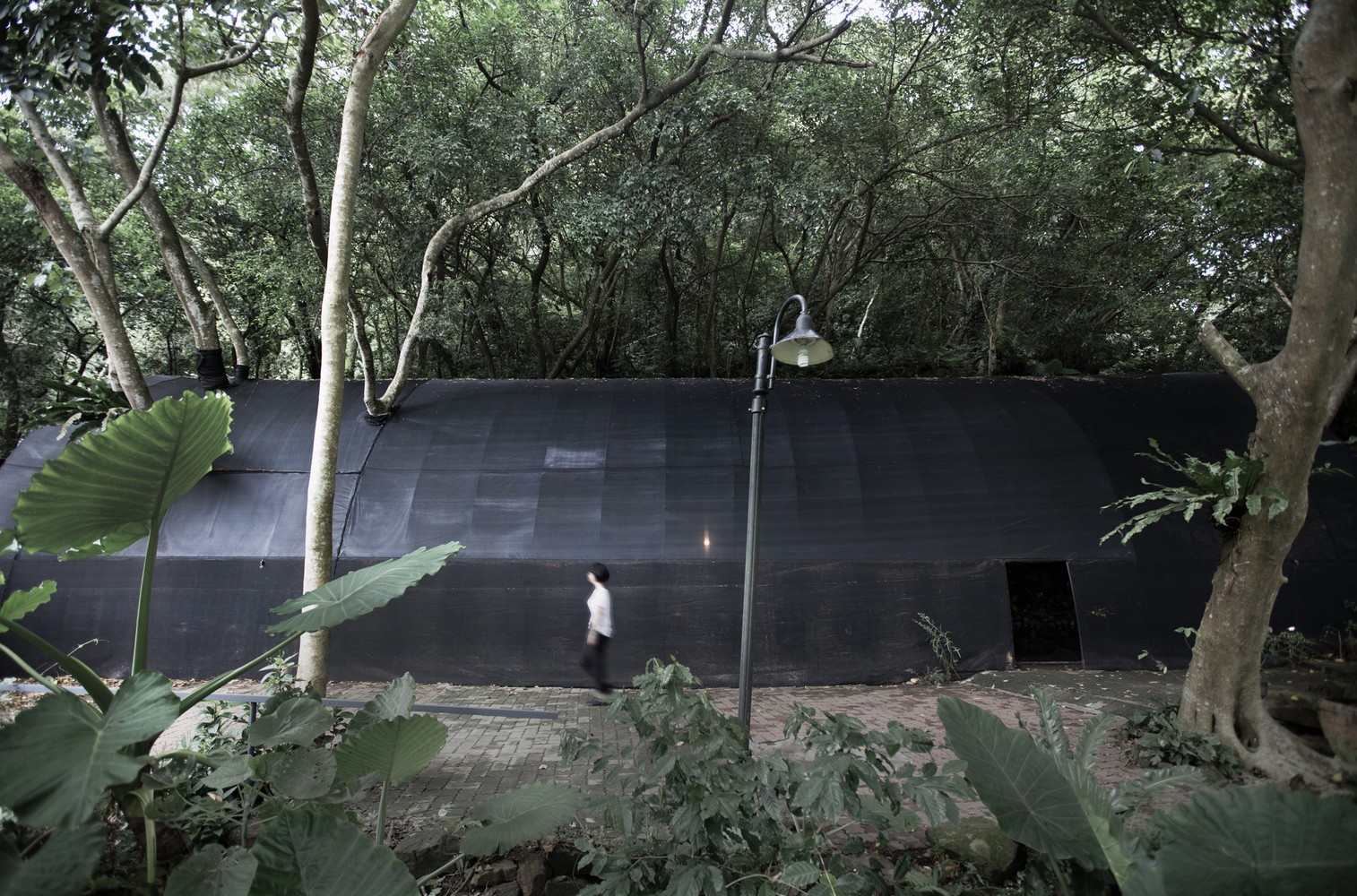 1538118917870468.jpg 20180928_143531_089.jpg