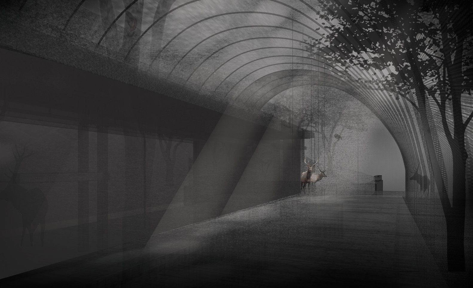 1538119485854399.jpg 20180928_143531_128.jpg