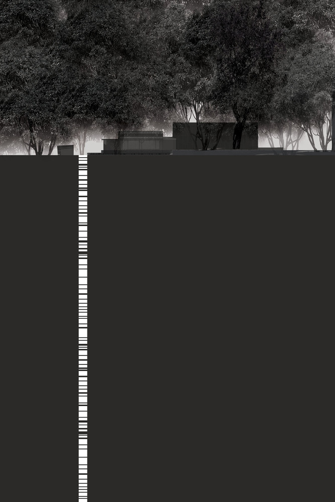 1538119540863080.jpg 20180928_143531_129.jpg