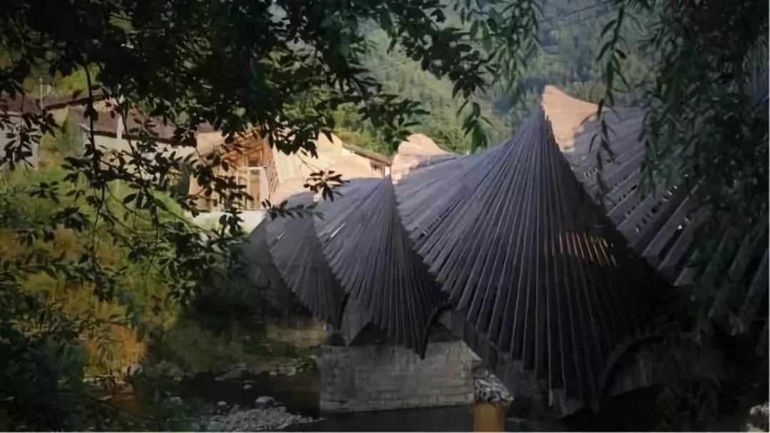 1539846493916963.jpg 20181018_150750_000.jpg