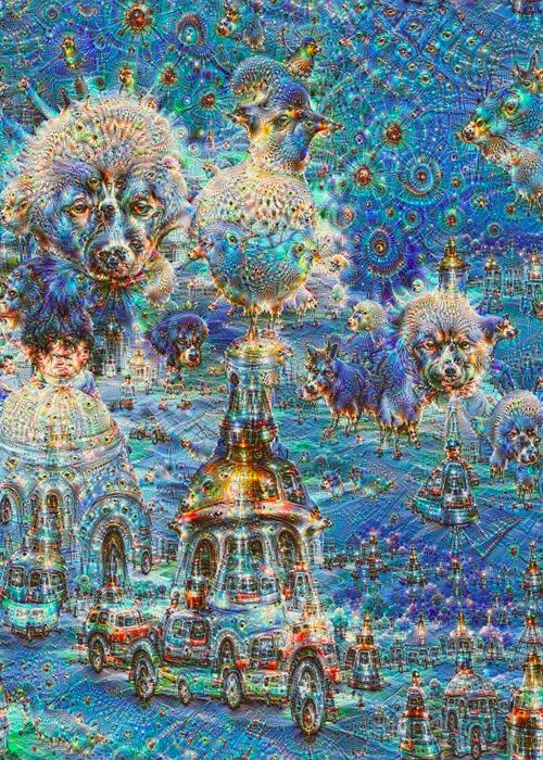 1541053156294881.jpeg 20181101_142226_002.jpeg