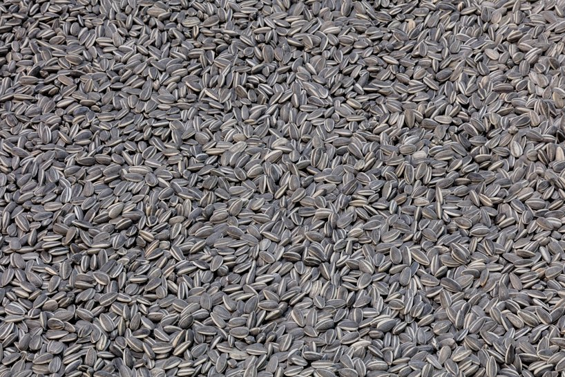 1541059827639176.png 20181101_160805_009.png