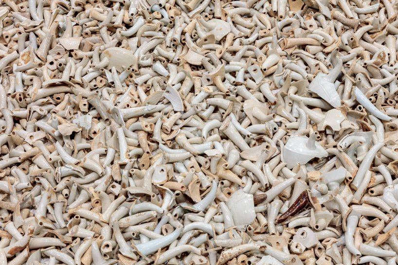 1541059842707017.png 20181101_160805_011.png