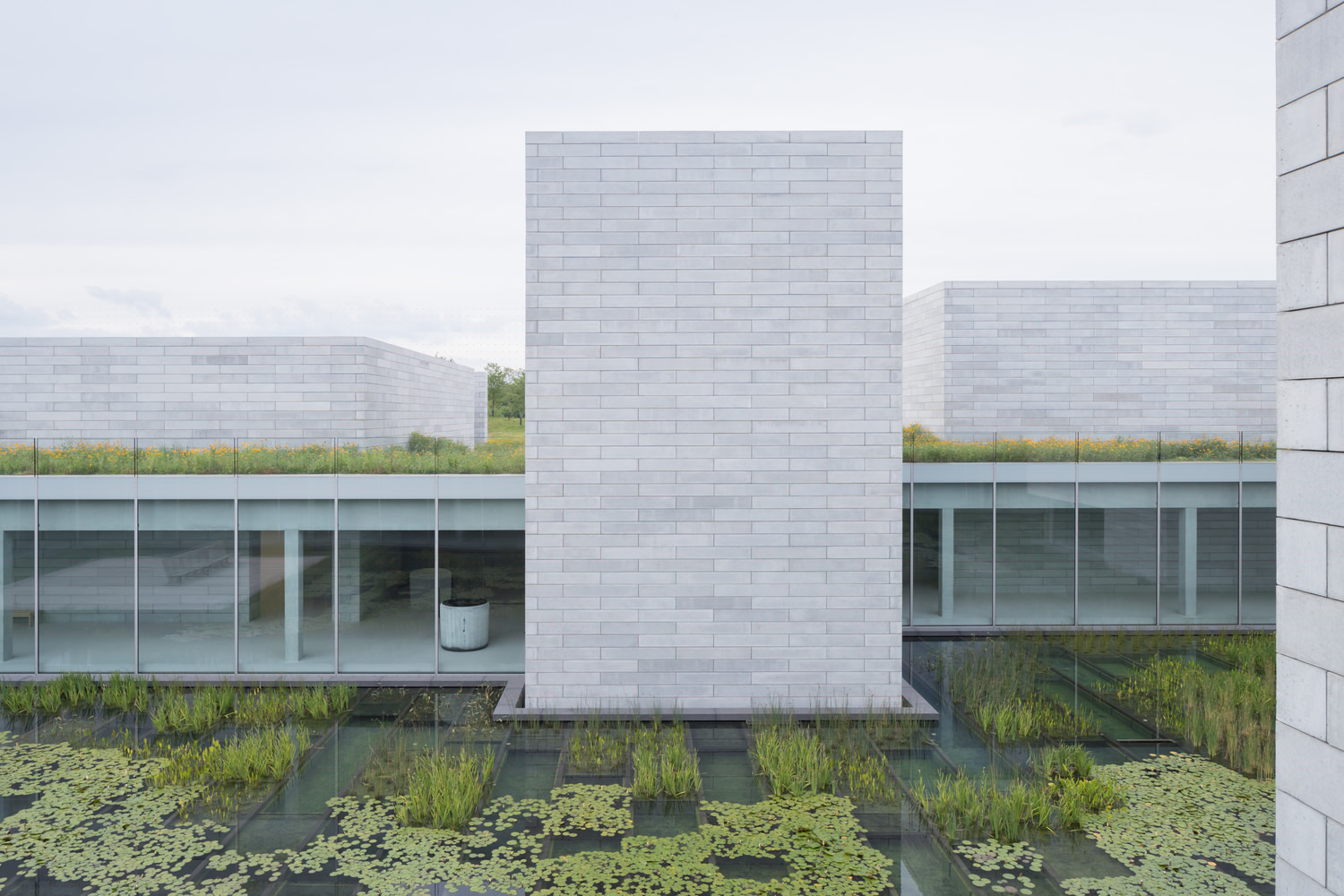 1541145605610898.jpg 8.jpg