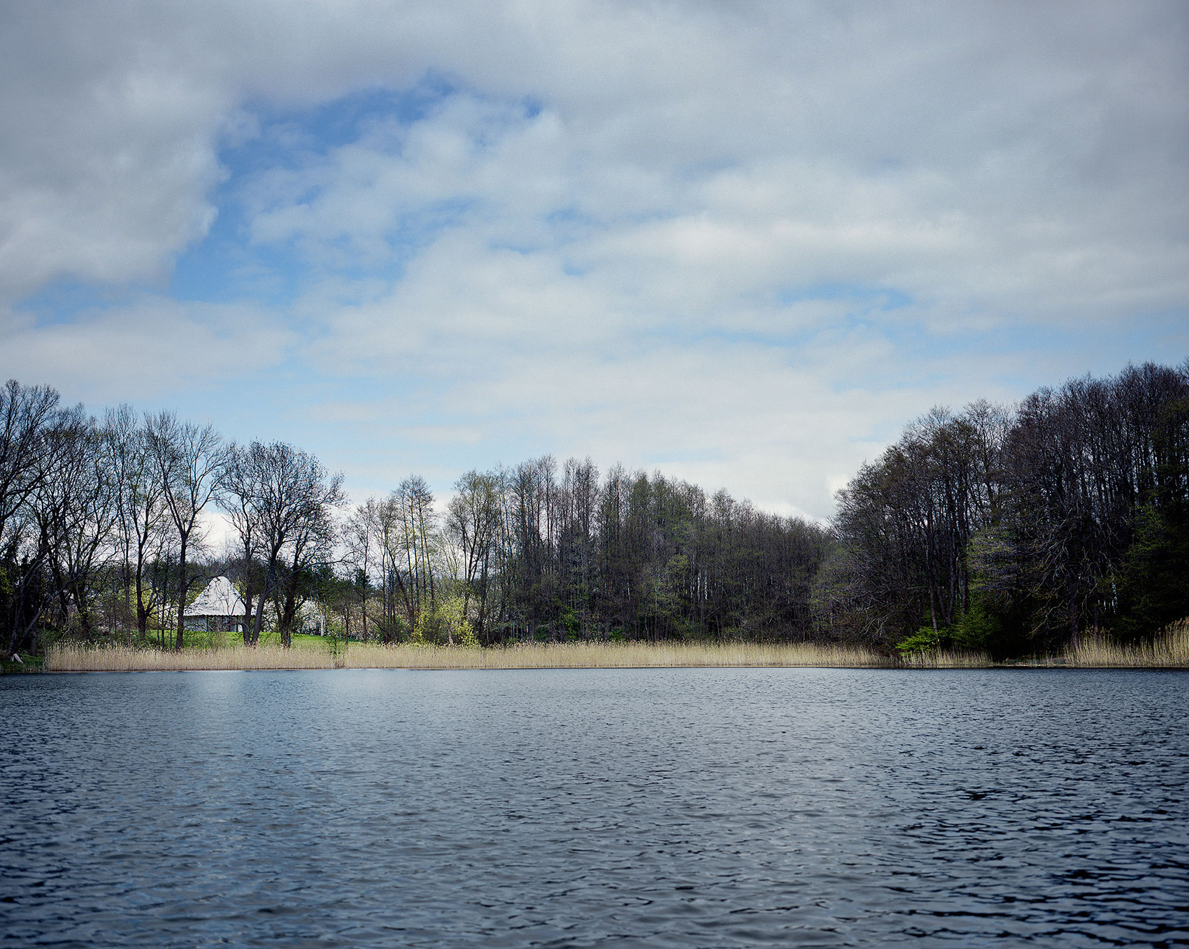 1544423334566366.jpg 2.jpg