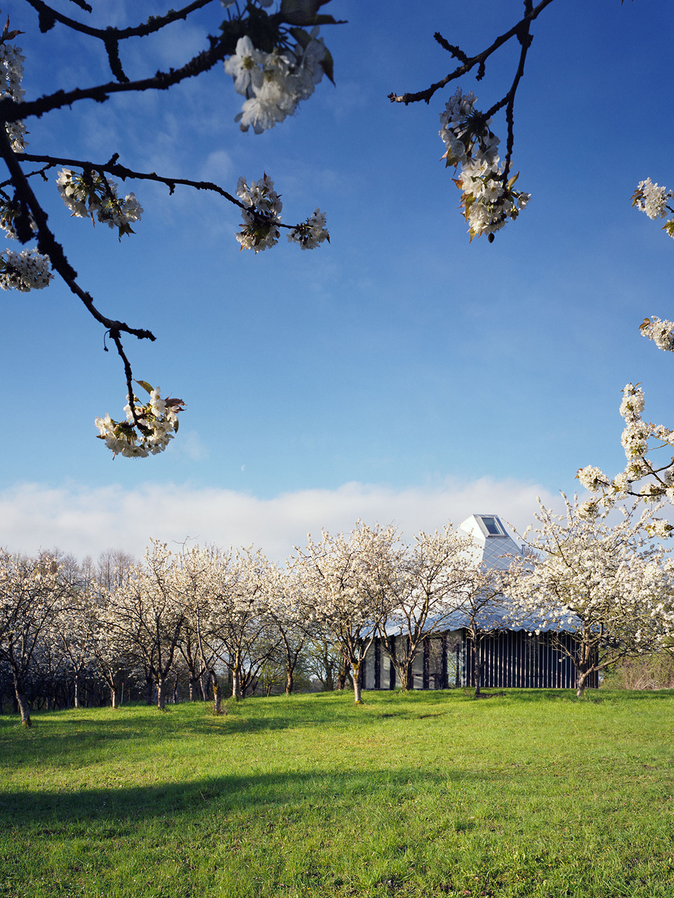 1544423346272590.jpg 3.jpg