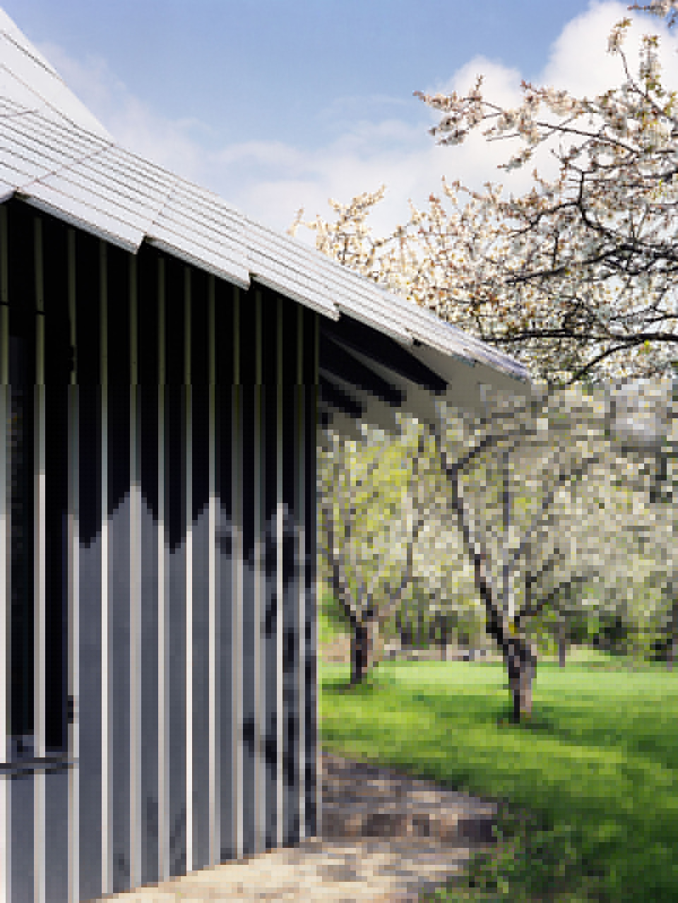 1544423352437700.jpg 4.jpg