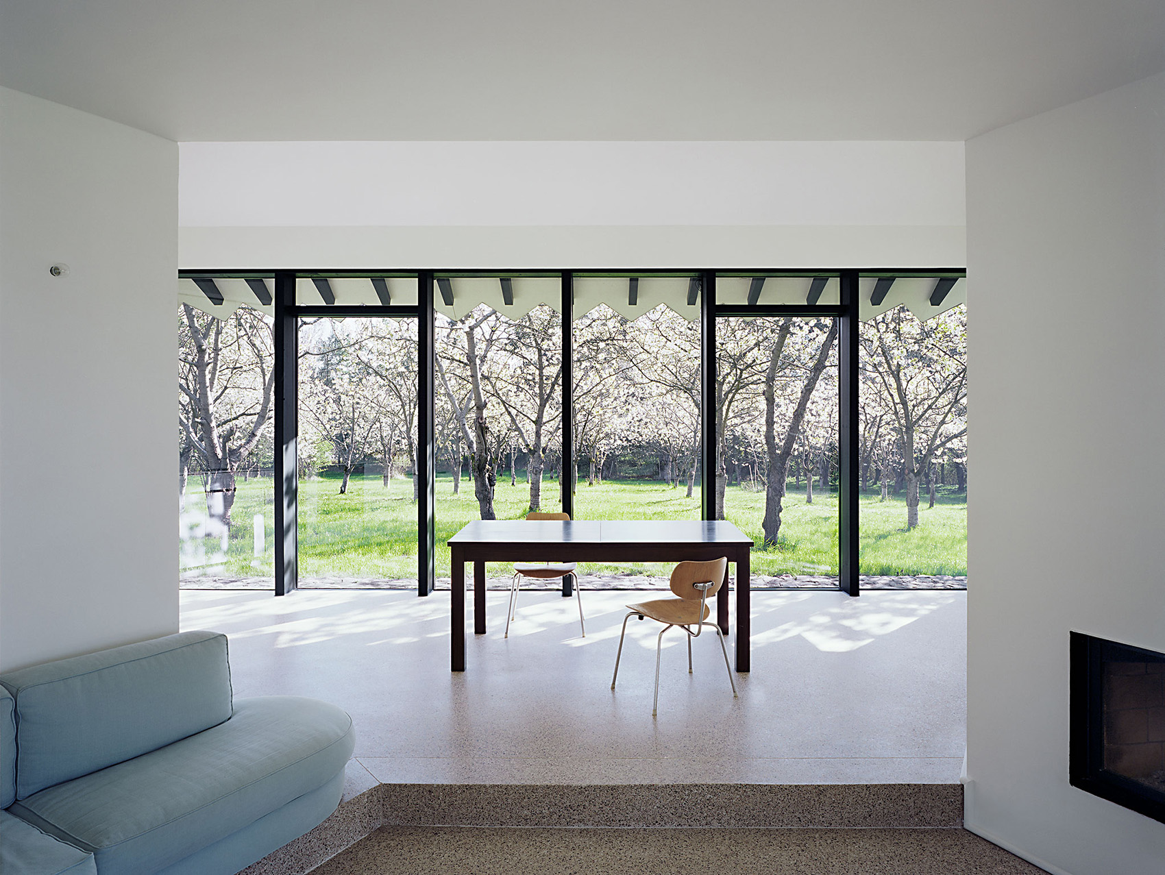 1544423363736767.jpg 6.jpg